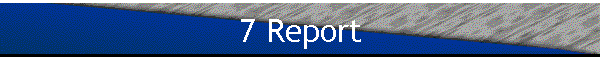 7 Report