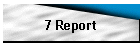 7 Report